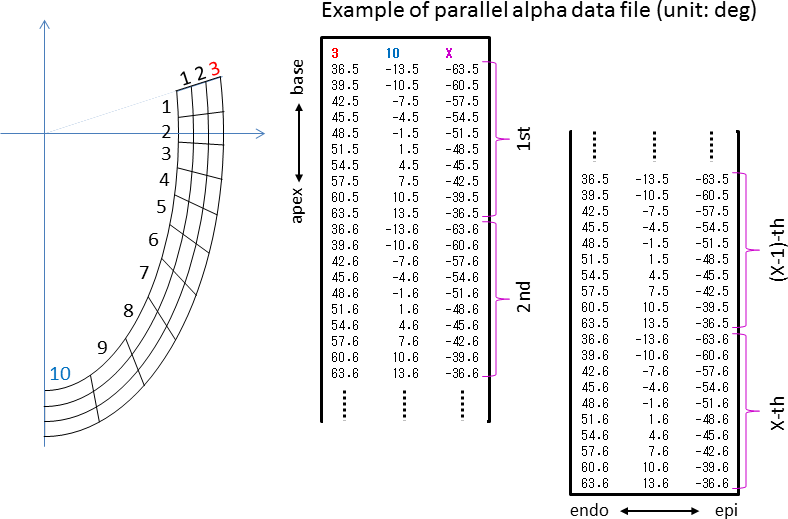 Format of parallel alpha data files and the heart geometry